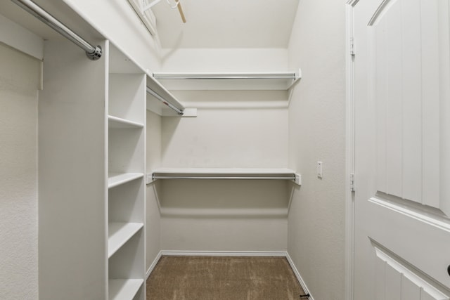 walk in closet with dark colored carpet