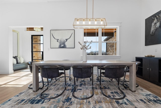 dining room featuring hardwood / wood-style flooring