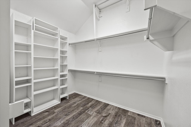 spacious closet featuring dark hardwood / wood-style floors and vaulted ceiling