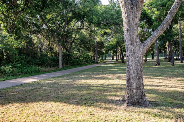 surrounding community with a yard