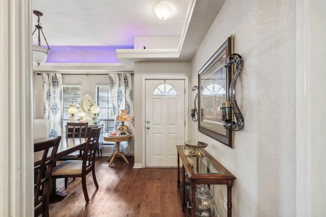 entryway featuring dark hardwood / wood-style flooring