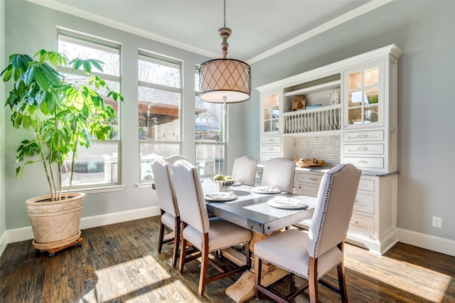 dining room featuring ornamental molding and dark hardwood / wood-style flooring