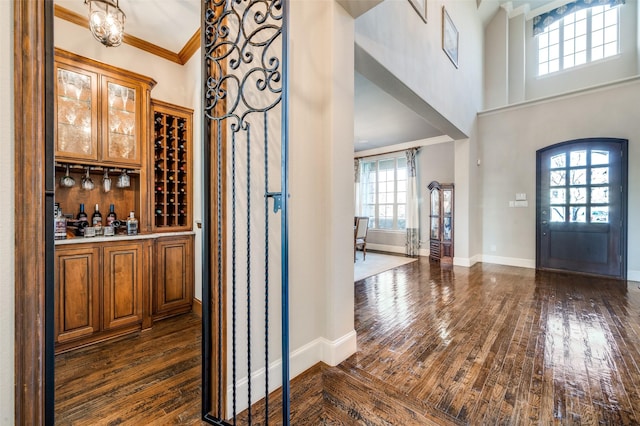 wine cellar featuring crown molding, dark hardwood / wood-style floors, and a high ceiling