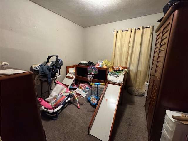 miscellaneous room featuring carpet flooring and a textured ceiling