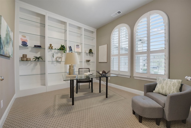 2813 Garrison Dr, Melissa, TX 75454 - carpeted office space with baseboards