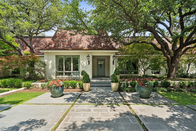 view of front of property featuring stucco siding