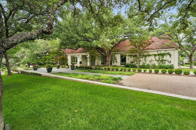 view of front of property featuring a tiled roof, a front yard, and stucco siding