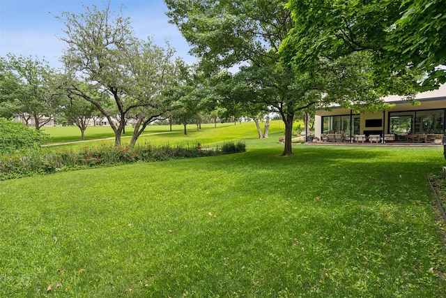 view of yard with a patio area