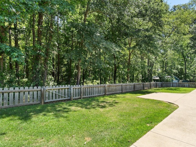 view of yard with a patio