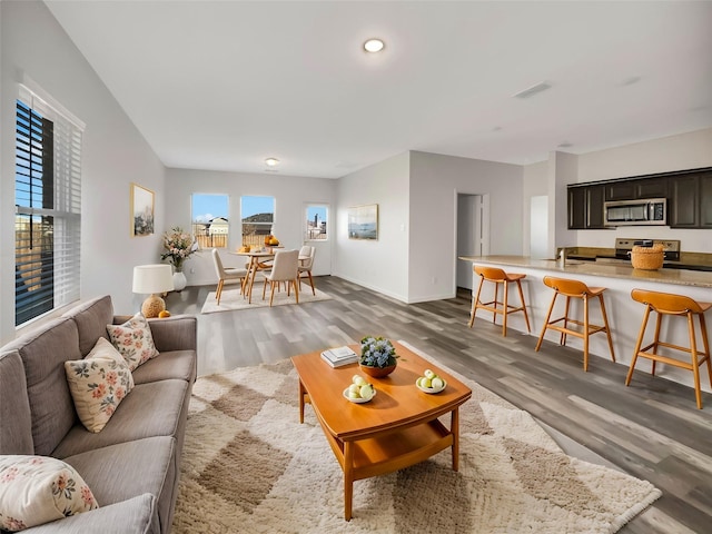 living room featuring dark hardwood / wood-style floors and sink