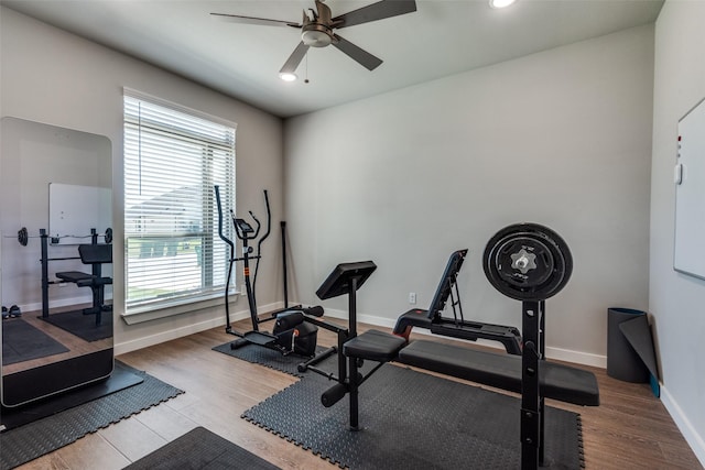 exercise room with wood-type flooring and ceiling fan