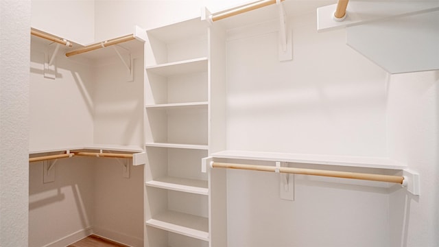 spacious closet with hardwood / wood-style flooring