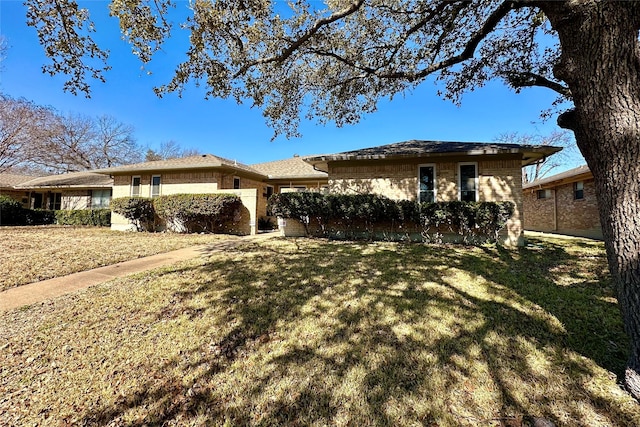 single story home featuring a front lawn