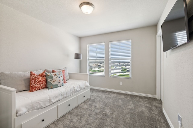 sitting room featuring carpet floors