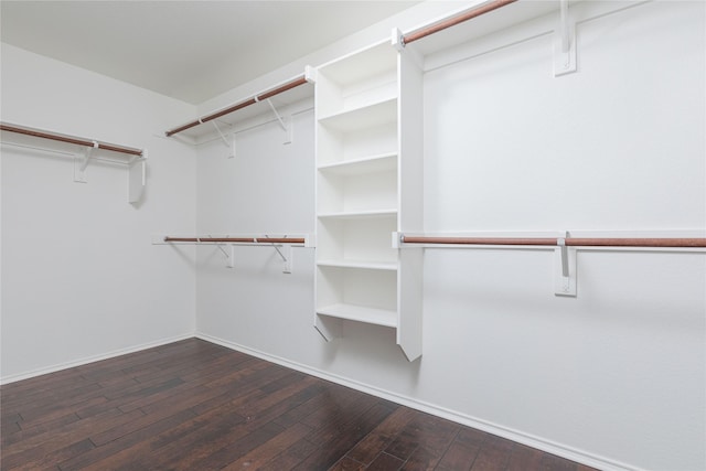 spacious closet featuring dark wood-style flooring