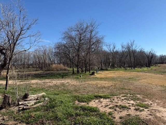 view of yard featuring a rural view