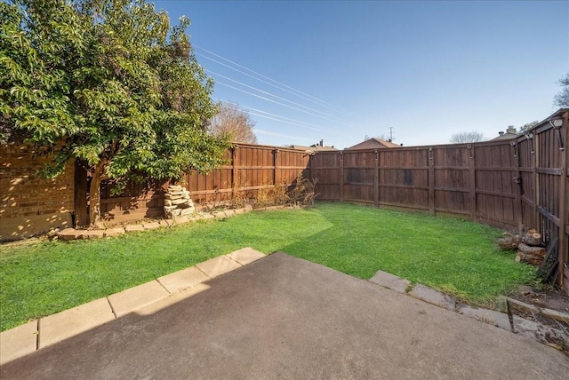 view of yard featuring a patio