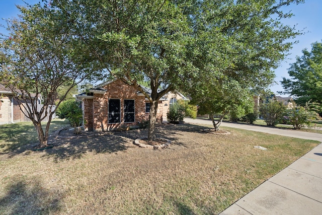 view of property hidden behind natural elements featuring a front yard