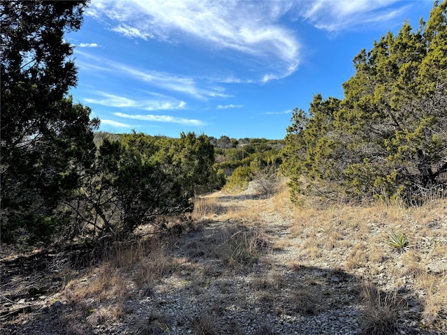 LT595 Majestic Shr, Bluff Dale TX, 76433 land for sale