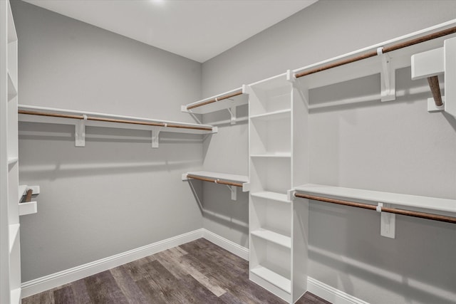 walk in closet with dark wood-type flooring