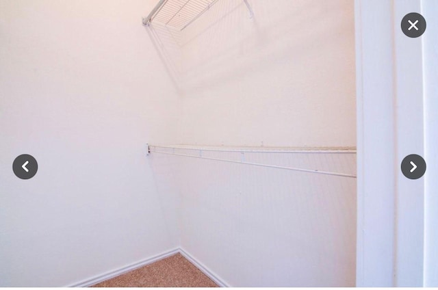 walk in closet featuring carpet flooring