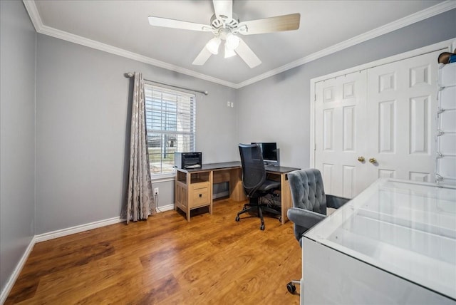 office with light hardwood / wood-style flooring, ornamental molding, and ceiling fan