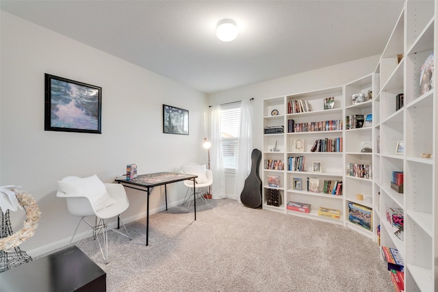 office with carpet floors and baseboards