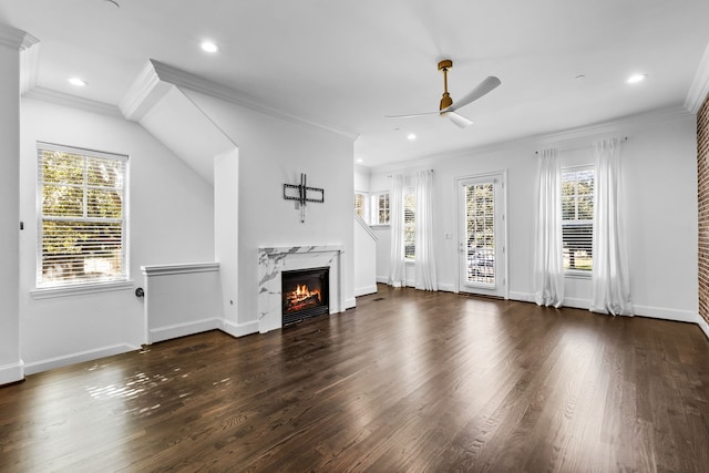 unfurnished living room with dark hardwood / wood-style flooring, a wealth of natural light, and a fireplace