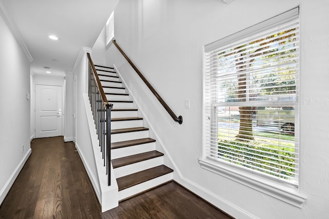 stairs featuring crown molding and hardwood / wood-style floors