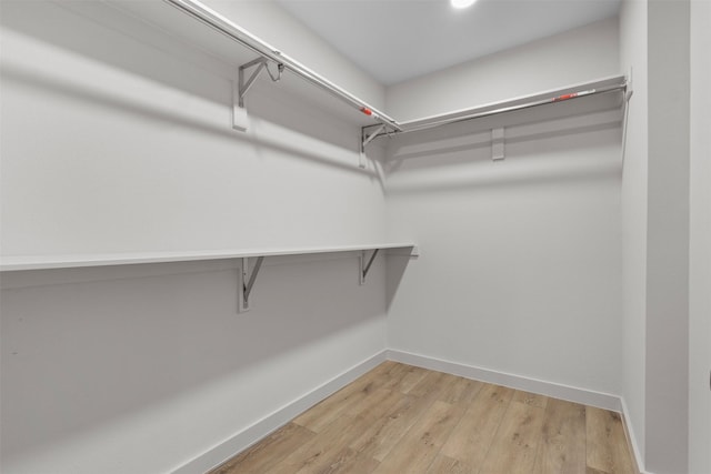 walk in closet featuring light wood-type flooring