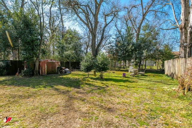 view of yard featuring a storage unit