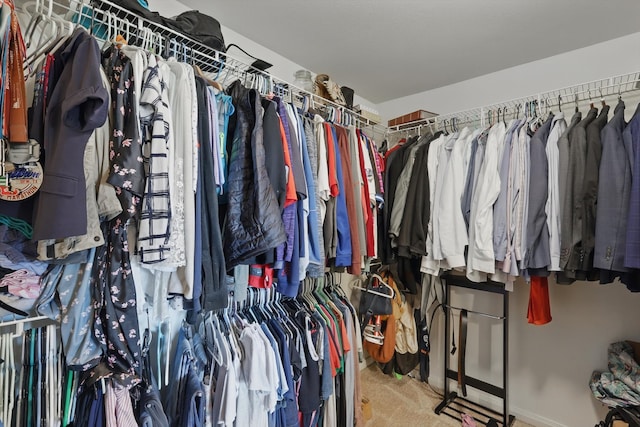 walk in closet featuring carpet