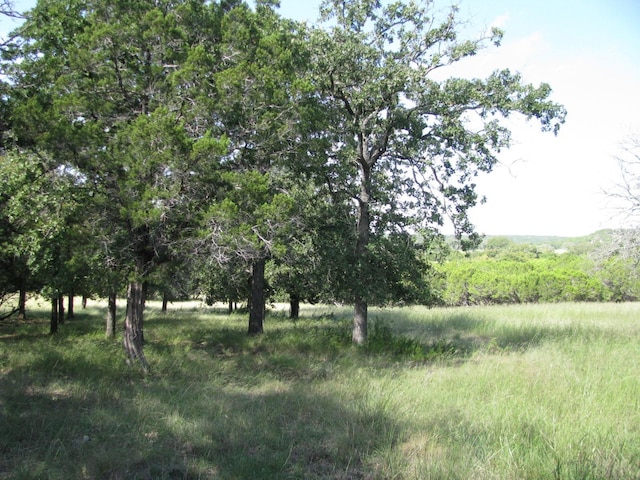 view of nature