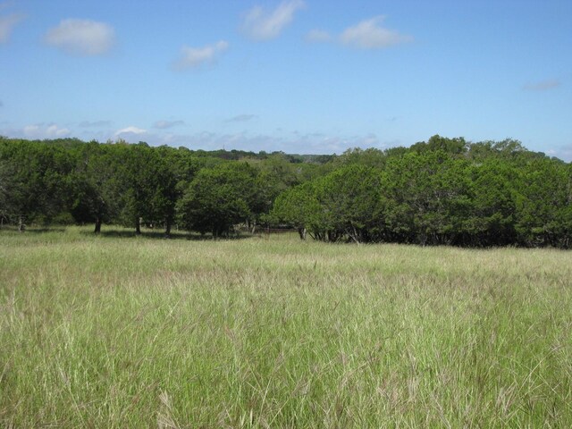 view of nature featuring a rural view