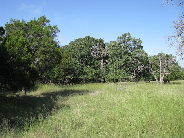 view of landscape