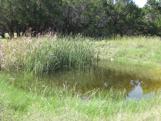 view of local wilderness featuring a water view