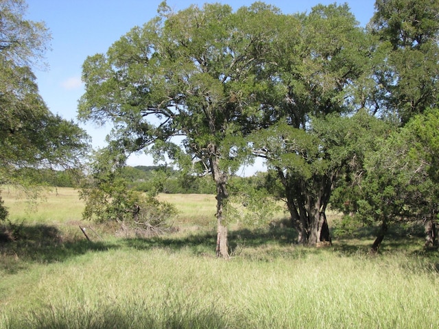 view of nature