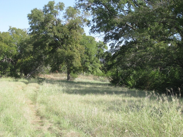 view of nature