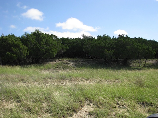 view of landscape with a rural view