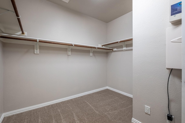 spacious closet featuring carpet flooring