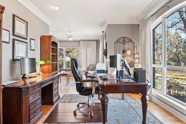 office area featuring ornamental molding, ceiling fan, and light hardwood / wood-style floors