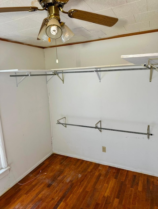 spacious closet featuring dark hardwood / wood-style flooring