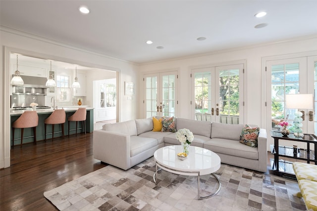 living room featuring french doors, ornamental molding, dark wood-type flooring, and sink