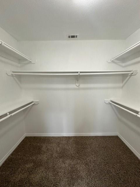 spacious closet with carpet floors