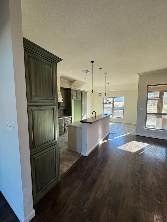 kitchen featuring a healthy amount of sunlight, sink, dark hardwood / wood-style floors, and a center island with sink