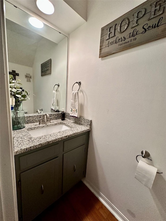 bathroom featuring vanity and wood-type flooring