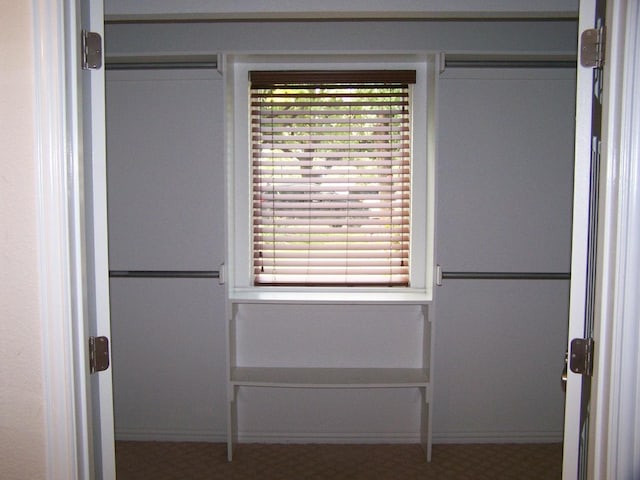 view of closet