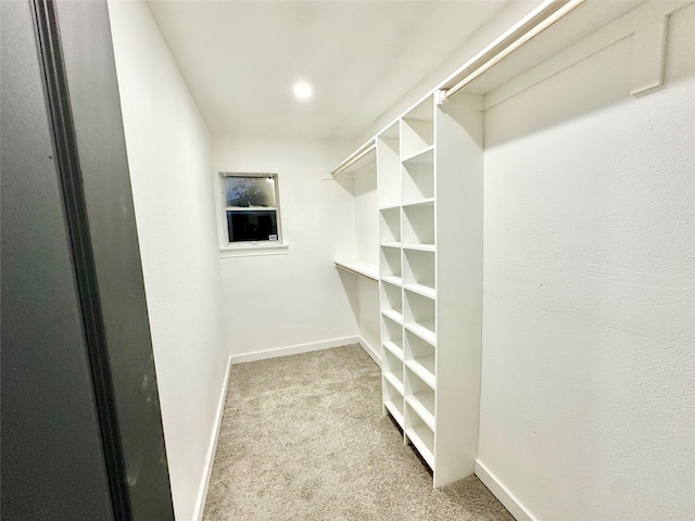 spacious closet with light colored carpet