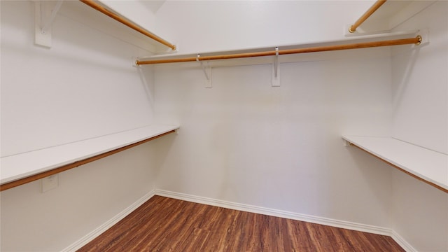 walk in closet featuring hardwood / wood-style floors