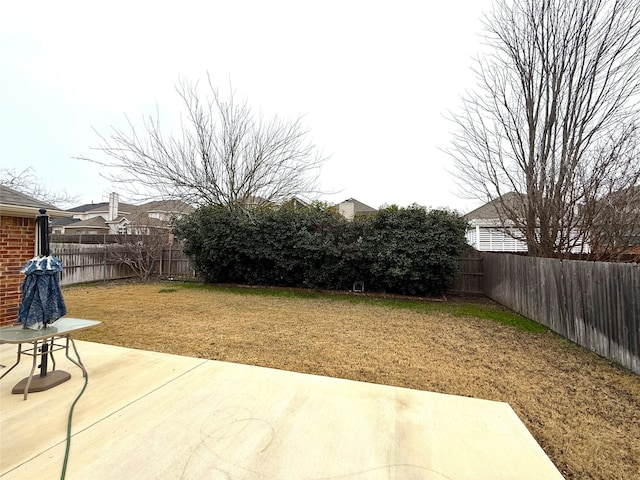 view of yard featuring a patio